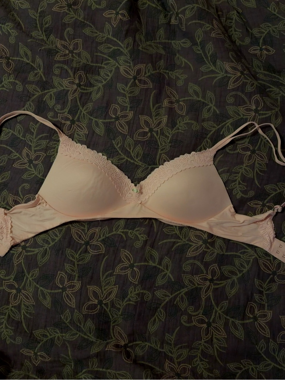 aerie sunnie wireless push up bra